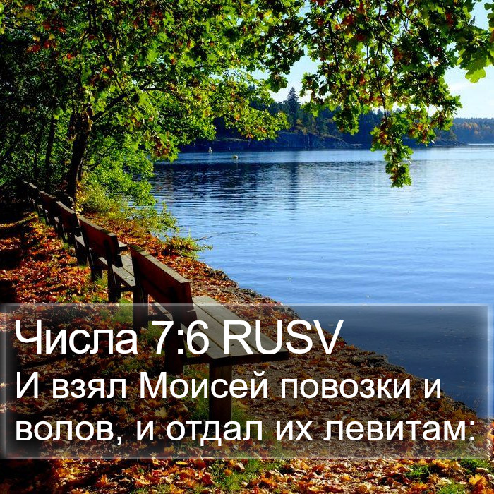 Числа 7:6 RUSV Bible Study