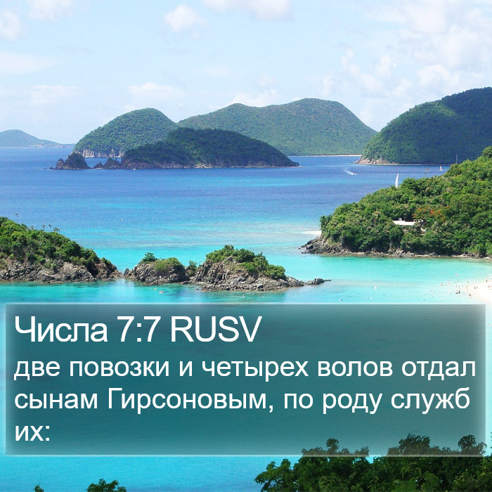 Числа 7:7 RUSV Bible Study