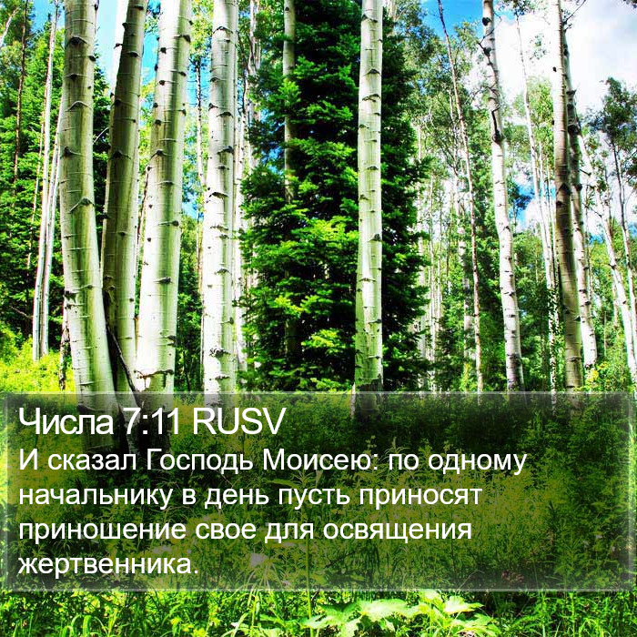 Числа 7:11 RUSV Bible Study