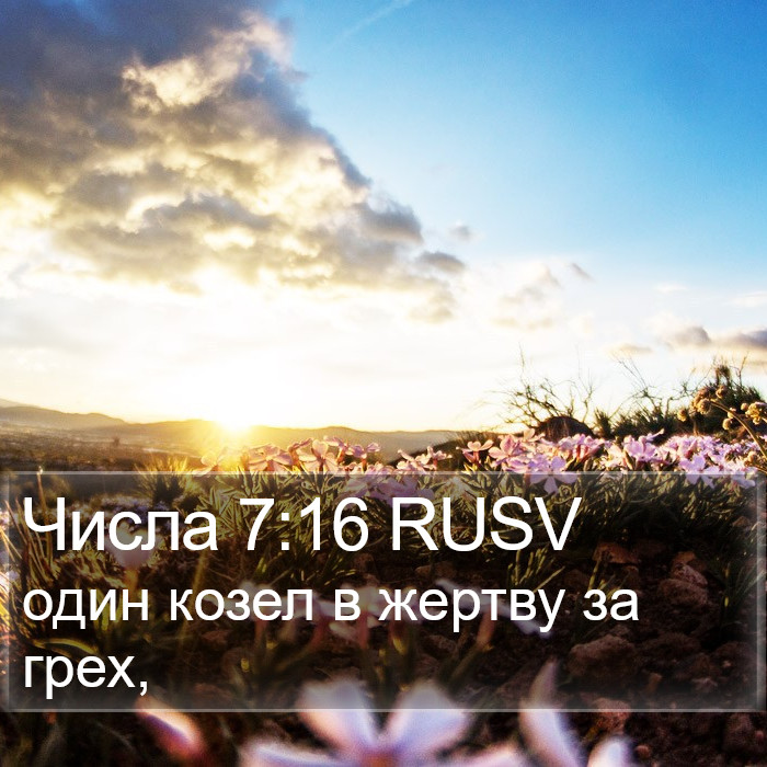 Числа 7:16 RUSV Bible Study
