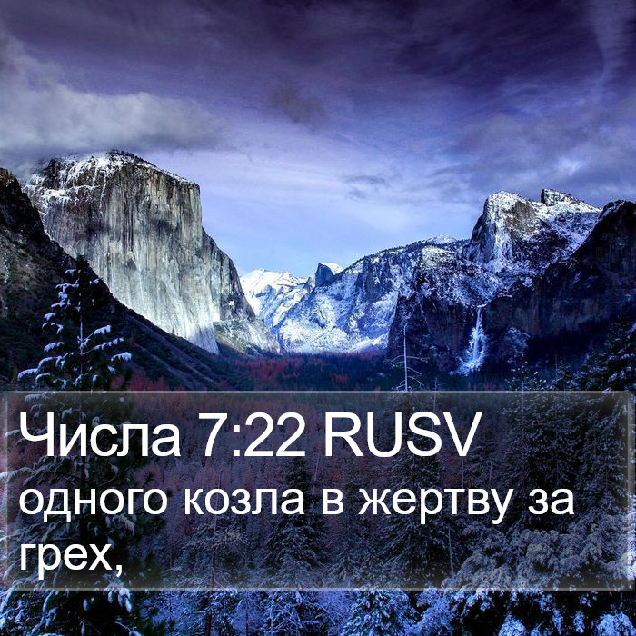 Числа 7:22 RUSV Bible Study