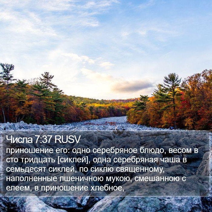 Числа 7:37 RUSV Bible Study