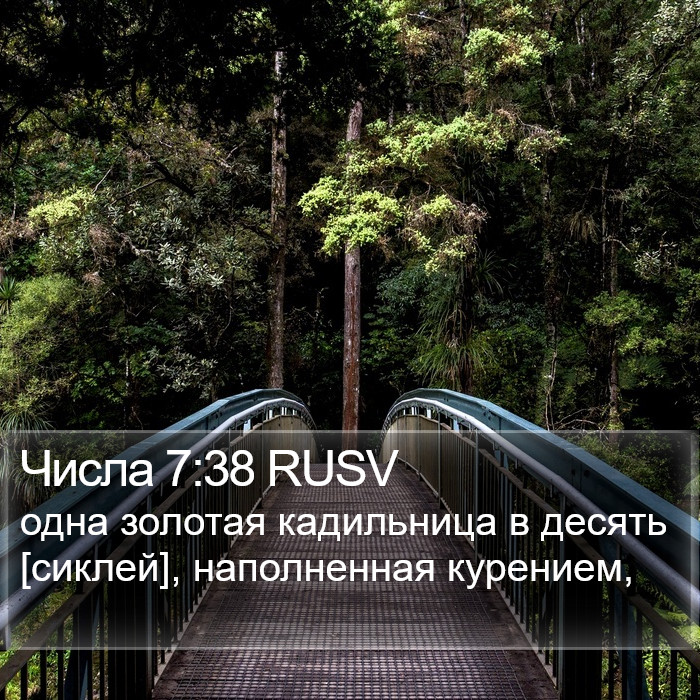 Числа 7:38 RUSV Bible Study