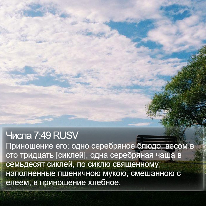 Числа 7:49 RUSV Bible Study
