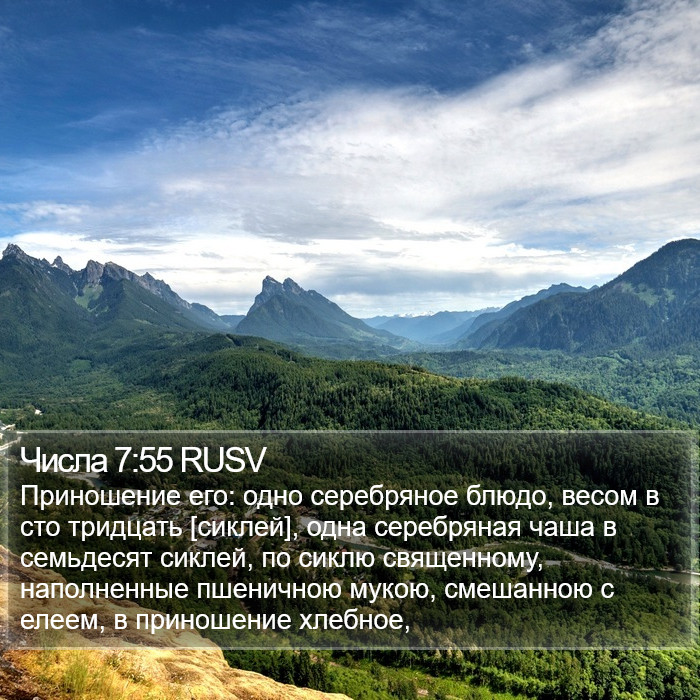 Числа 7:55 RUSV Bible Study