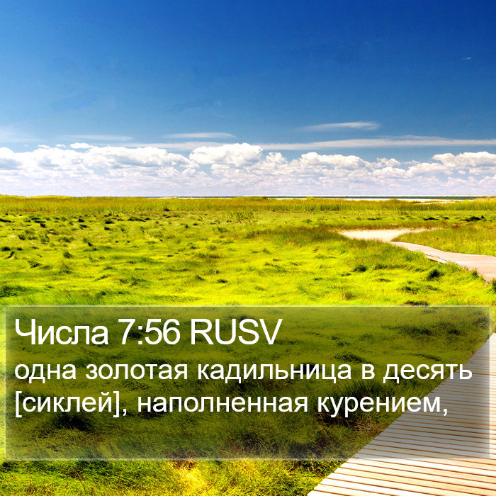 Числа 7:56 RUSV Bible Study