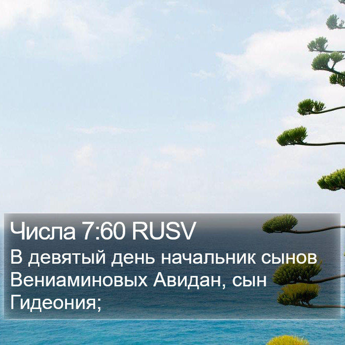 Числа 7:60 RUSV Bible Study