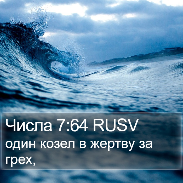 Числа 7:64 RUSV Bible Study
