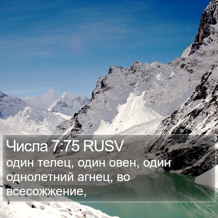 Числа 7:75 RUSV Bible Study