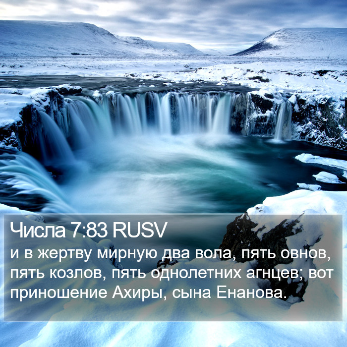 Числа 7:83 RUSV Bible Study