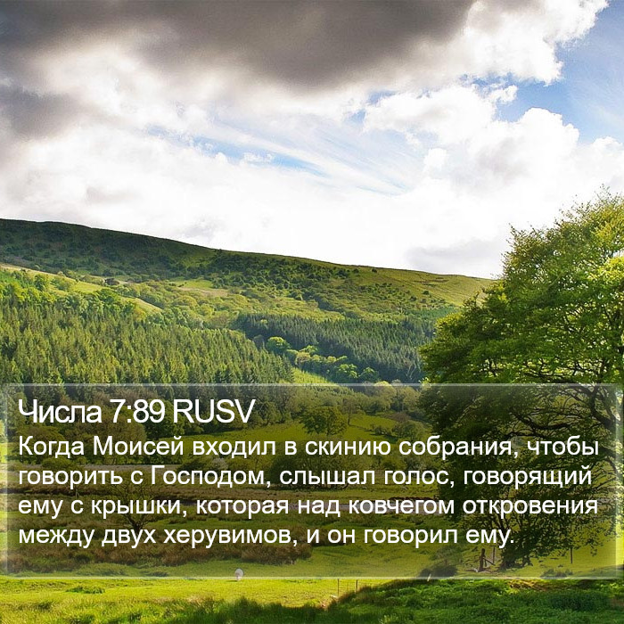 Числа 7:89 RUSV Bible Study