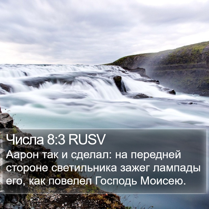 Числа 8:3 RUSV Bible Study