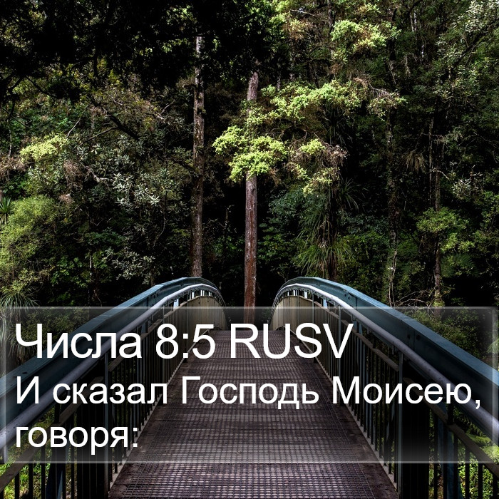 Числа 8:5 RUSV Bible Study