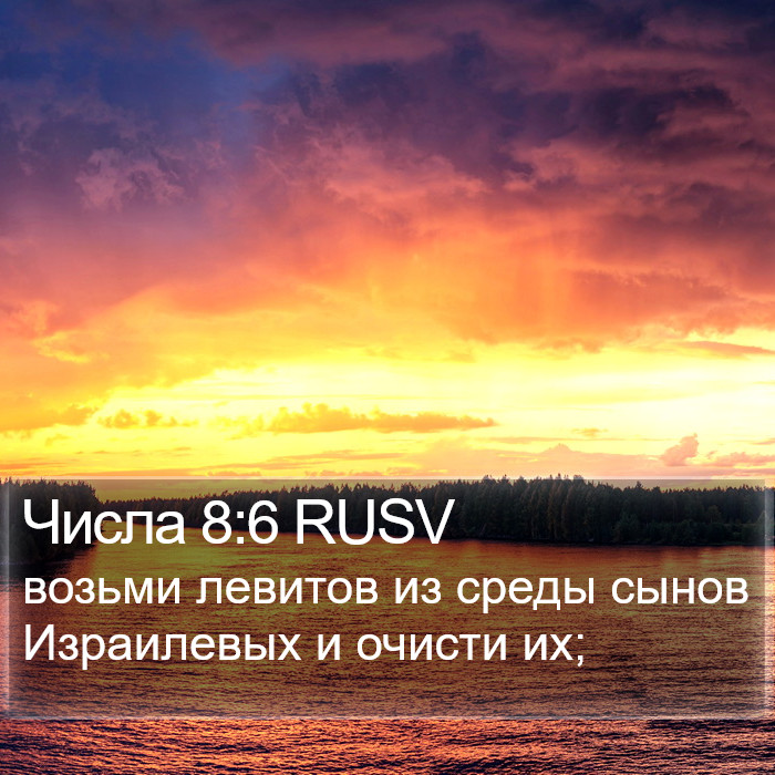 Числа 8:6 RUSV Bible Study