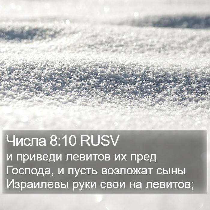 Числа 8:10 RUSV Bible Study