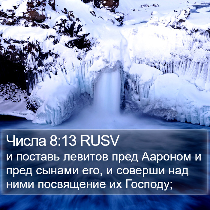 Числа 8:13 RUSV Bible Study