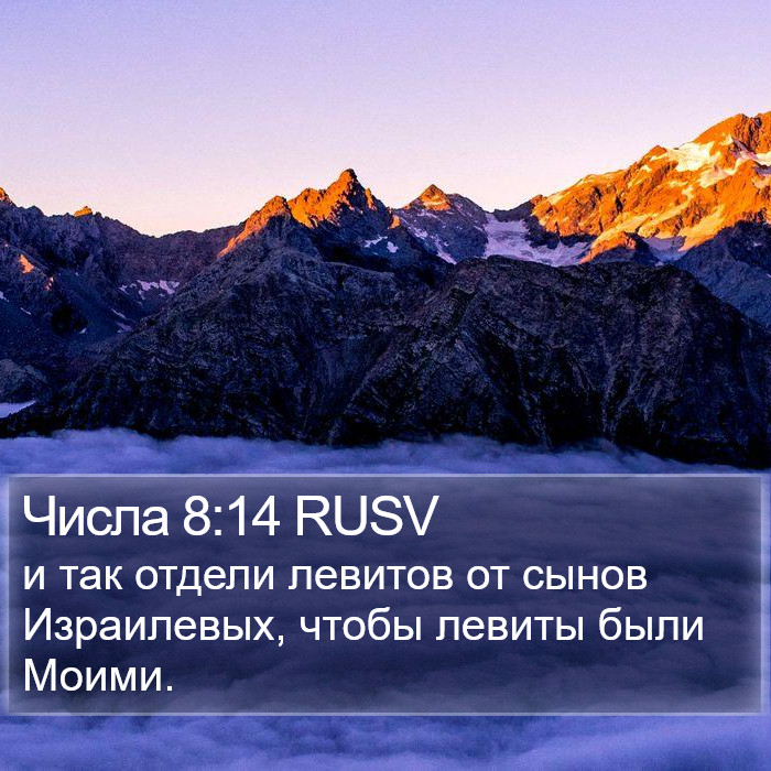 Числа 8:14 RUSV Bible Study