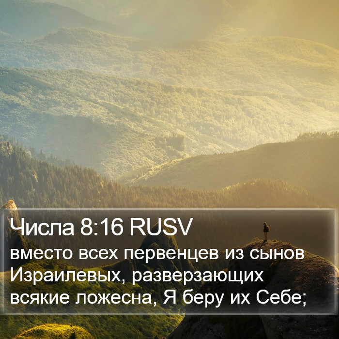 Числа 8:16 RUSV Bible Study