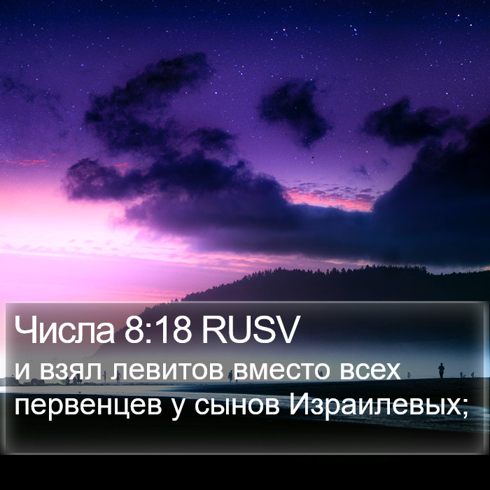 Числа 8:18 RUSV Bible Study
