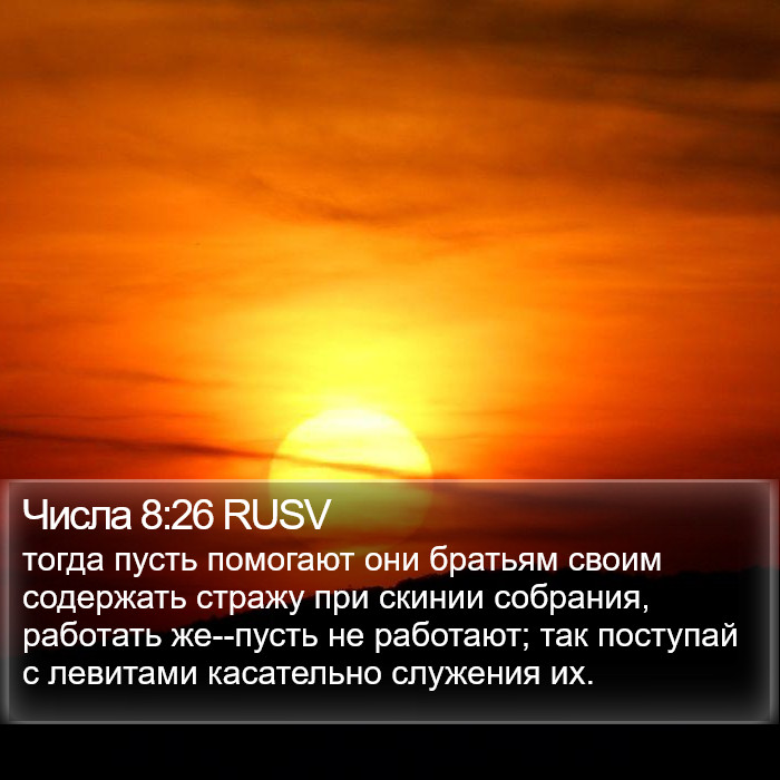 Числа 8:26 RUSV Bible Study