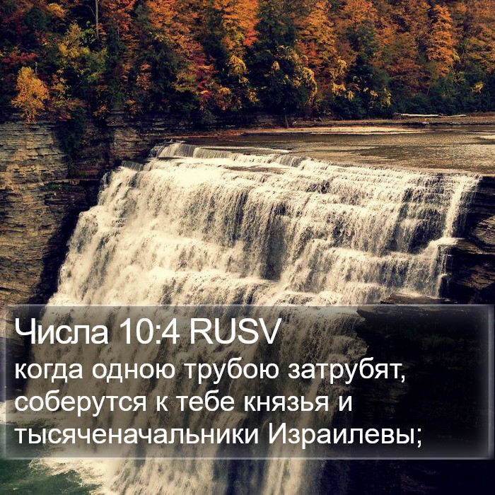 Числа 10:4 RUSV Bible Study