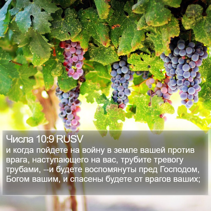 Числа 10:9 RUSV Bible Study