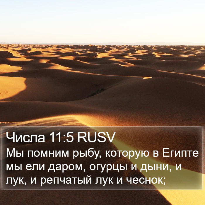 Числа 11:5 RUSV Bible Study