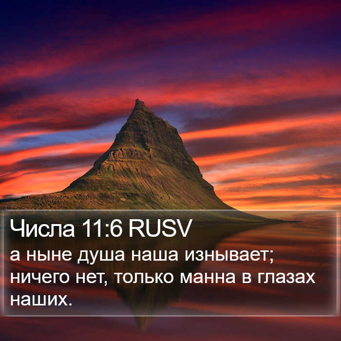 Числа 11:6 RUSV Bible Study