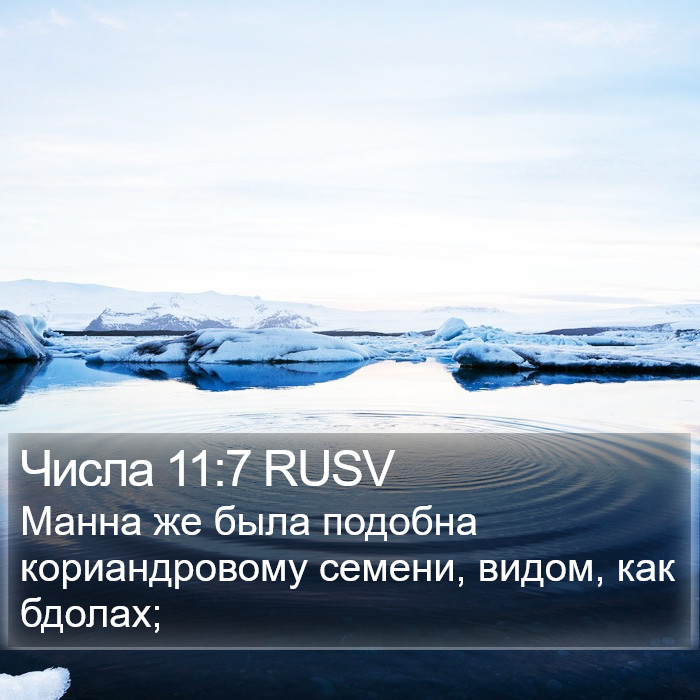 Числа 11:7 RUSV Bible Study