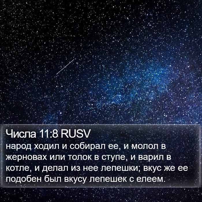 Числа 11:8 RUSV Bible Study