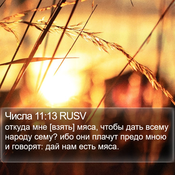 Числа 11:13 RUSV Bible Study