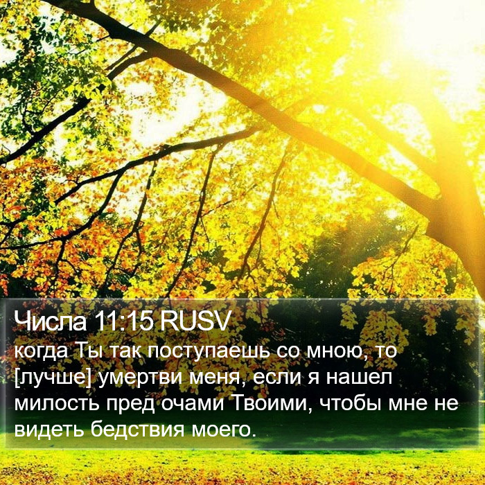 Числа 11:15 RUSV Bible Study