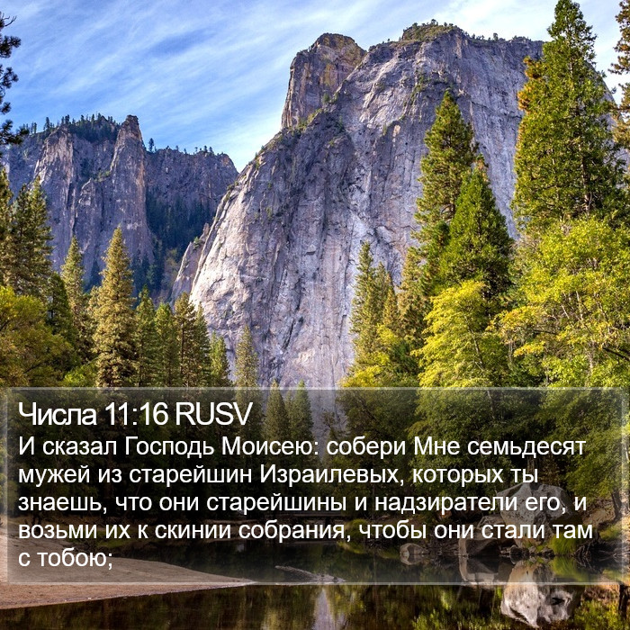 Числа 11:16 RUSV Bible Study