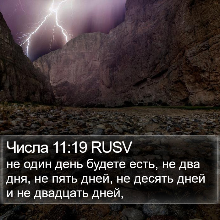 Числа 11:19 RUSV Bible Study