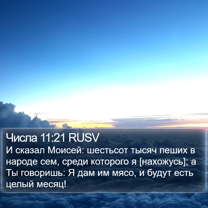 Числа 11:21 RUSV Bible Study