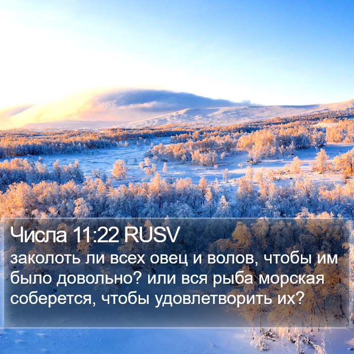 Числа 11:22 RUSV Bible Study