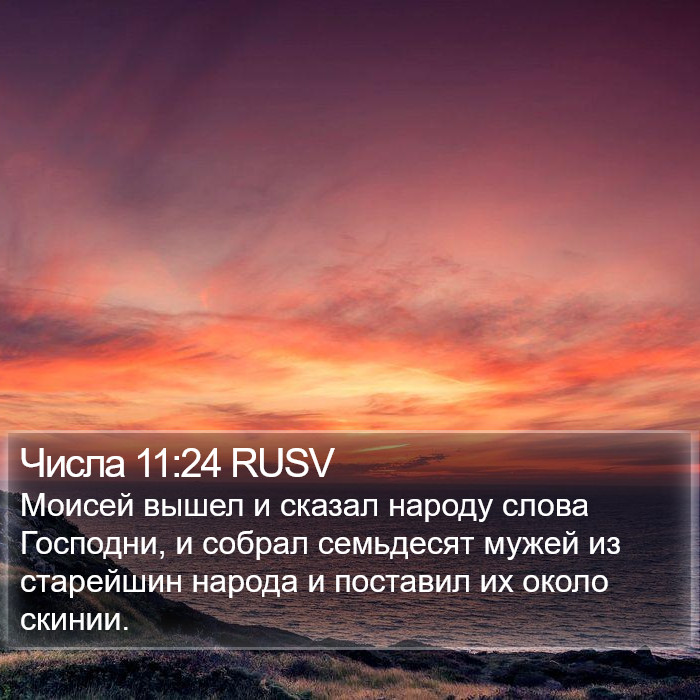 Числа 11:24 RUSV Bible Study