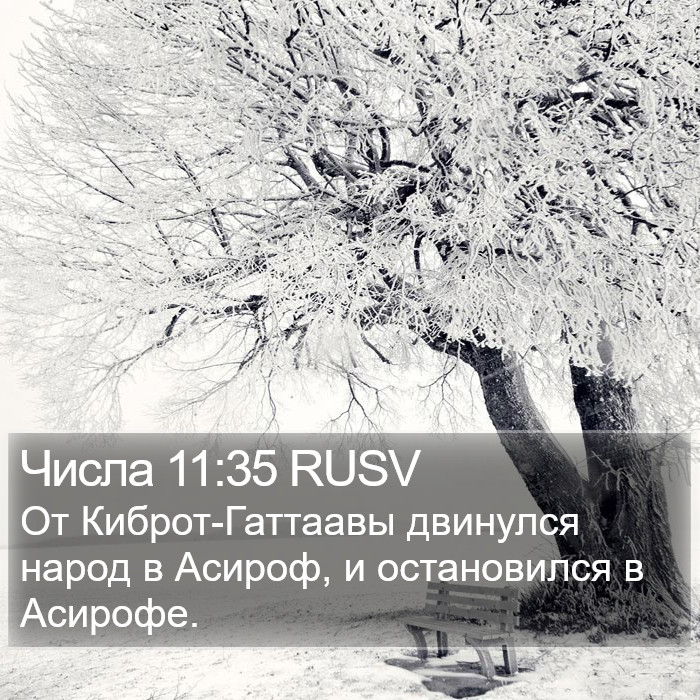 Числа 11:35 RUSV Bible Study