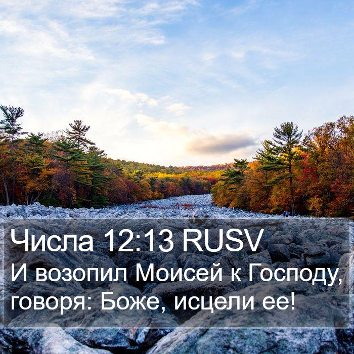 Числа 12:13 RUSV Bible Study