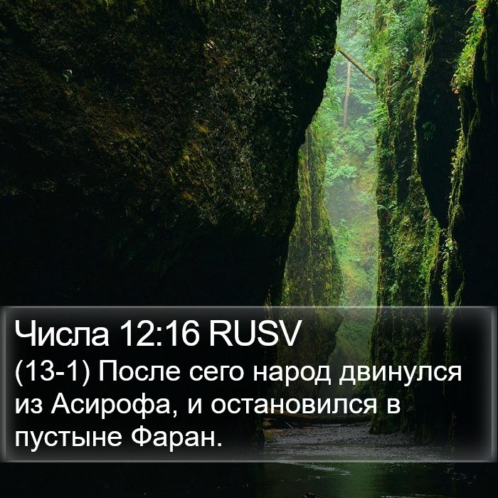 Числа 12:16 RUSV Bible Study