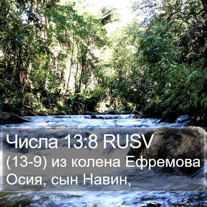 Числа 13:8 RUSV Bible Study