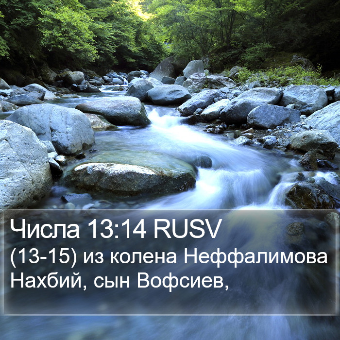 Числа 13:14 RUSV Bible Study