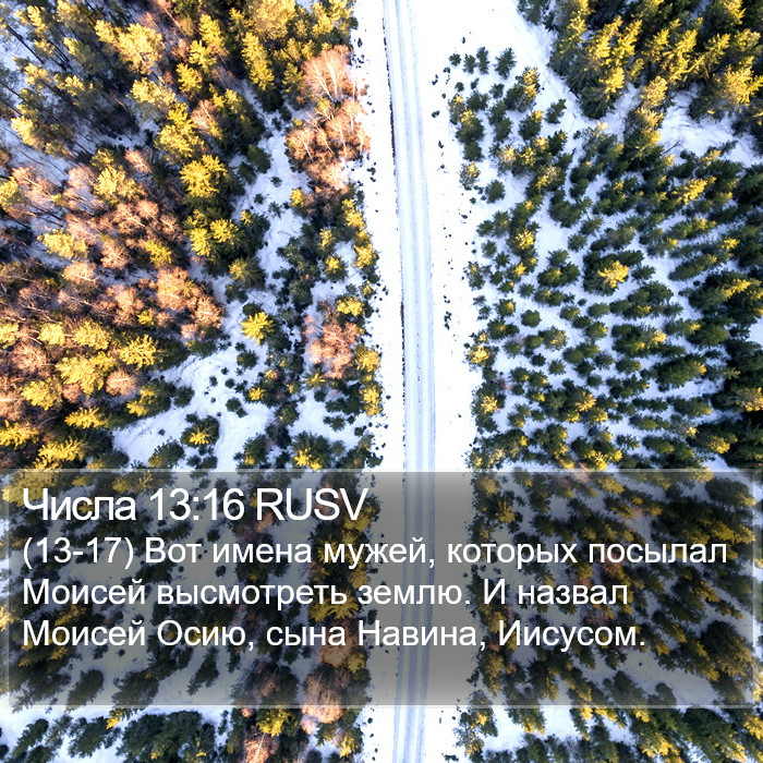 Числа 13:16 RUSV Bible Study