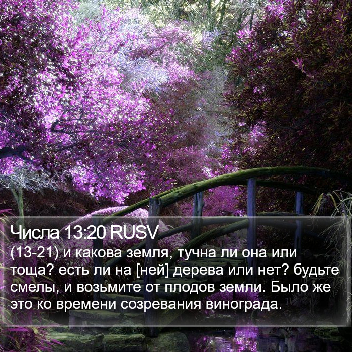 Числа 13:20 RUSV Bible Study