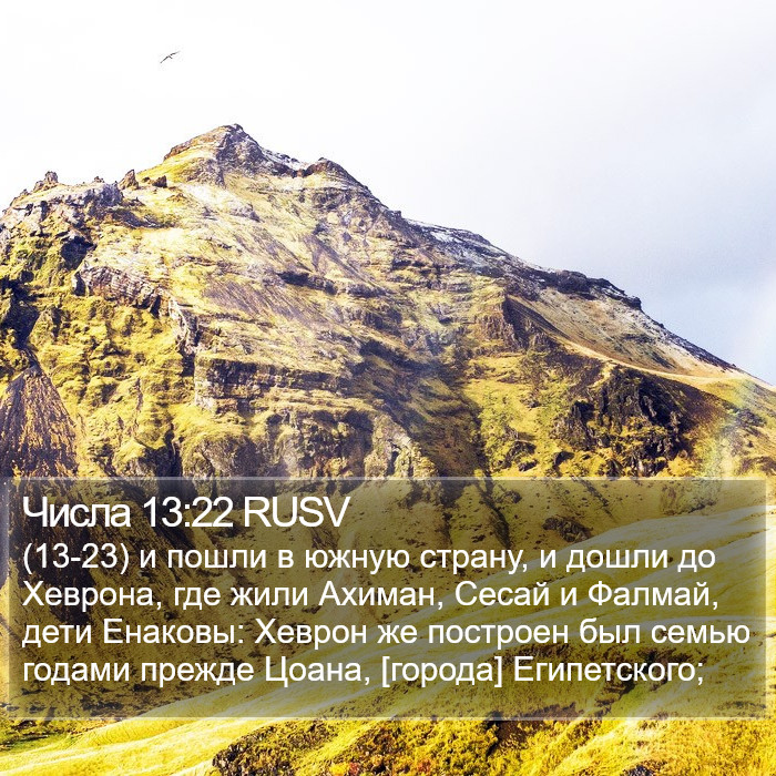 Числа 13:22 RUSV Bible Study