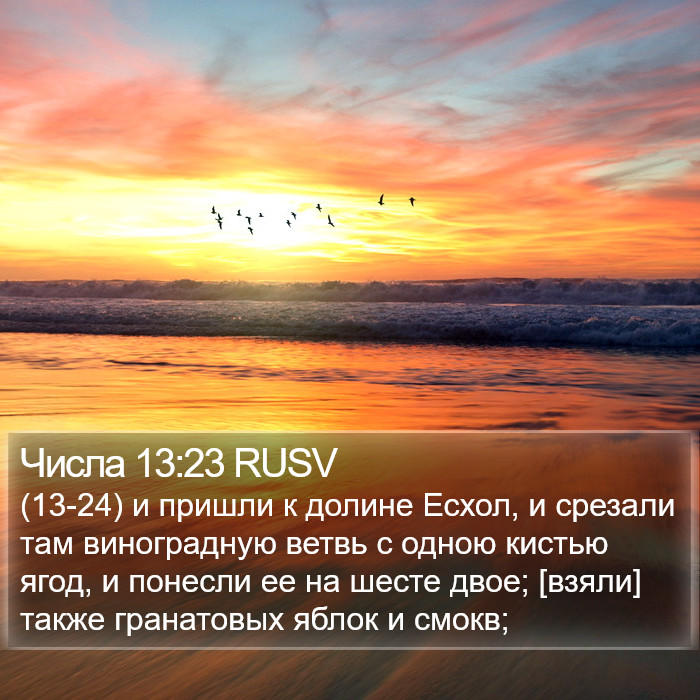 Числа 13:23 RUSV Bible Study