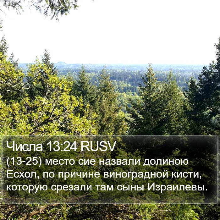 Числа 13:24 RUSV Bible Study