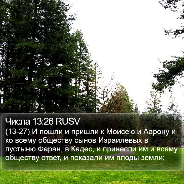 Числа 13:26 RUSV Bible Study