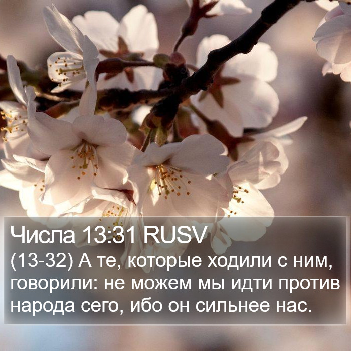 Числа 13:31 RUSV Bible Study