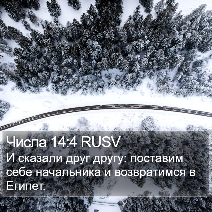 Числа 14:4 RUSV Bible Study